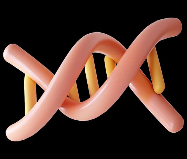 Hormone Optimization - Restore Your Vitality